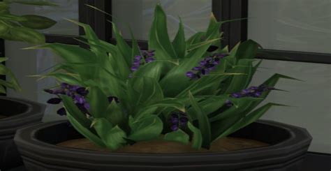 The Sims 4: Where to find Wolfsbane plants .